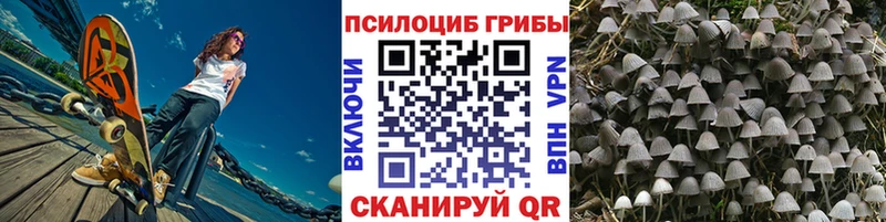 Псилоцибиновые грибы Psilocybine cubensis  Очёр 
